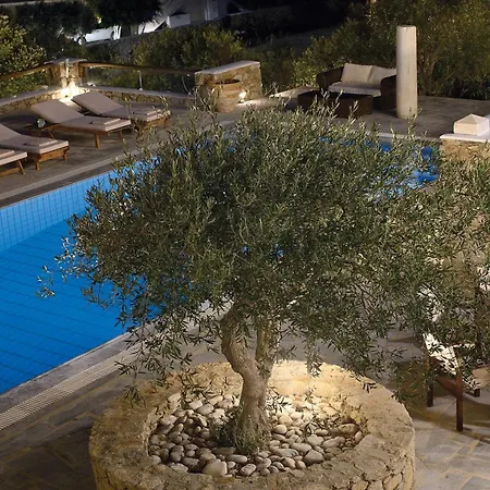 Villa Galaxy Ftelia (Mykonos)